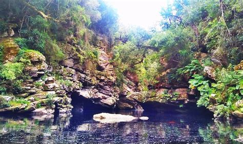 Roodepoort Hiking Trails: Exploring the Wilderness on Foot - Joey Journeys