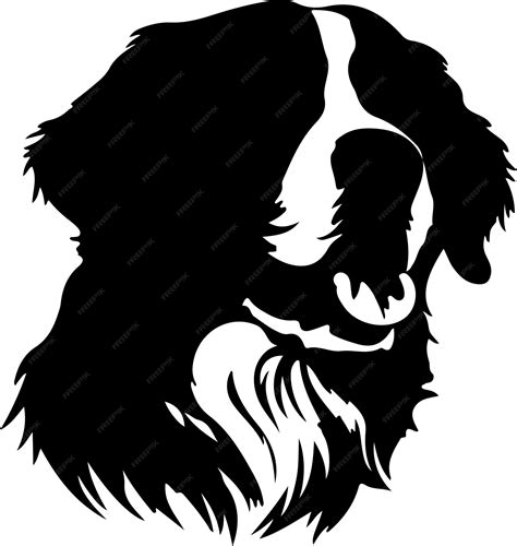 Premium Vector Bernese Mountain Dog Black Silhouette With Transparent