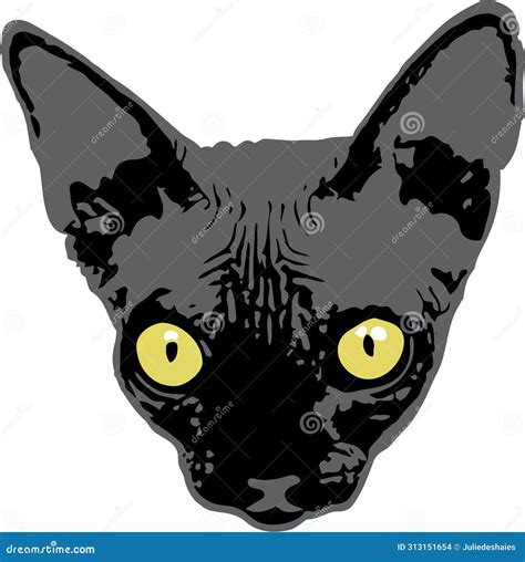 Black Hairless Sphynx Cat Breed Illustration Vector Stock Vector