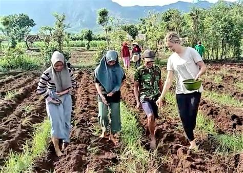 Dua Perempuan Warga Negara Asing Ikut Menanam Sorgum Gula Di Desa