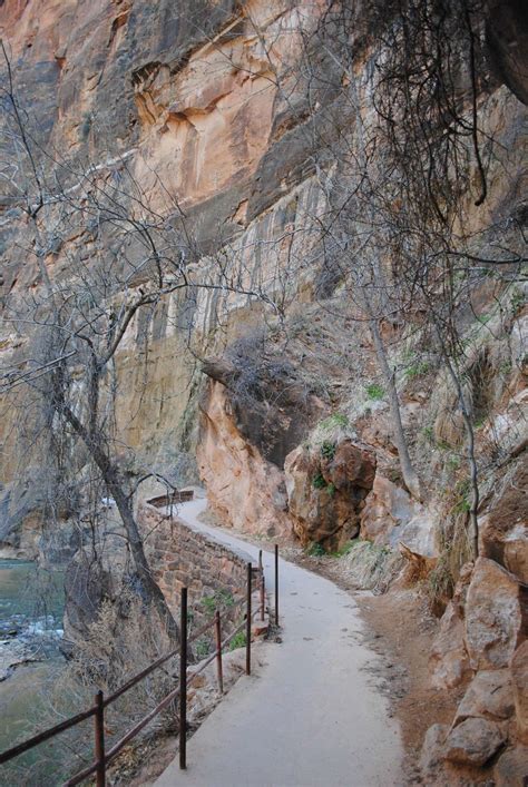 Zion Narrows Bottom-Top Hike - EVERYDAY CHRIS