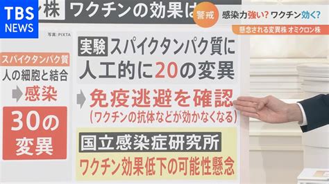 【解説】懸念される変異「オミクロン株」は感染力高い可能性も！？ News Wacoca Japan People Life Style