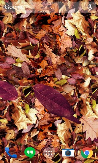 Autumn Leaves Live Wallpaper For Android Autumn Leaves Free Download For Tablet And Phone