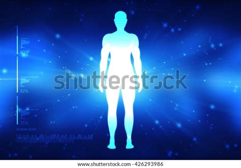 Male Anatomical Position 2d View Stock Illustration 426293986