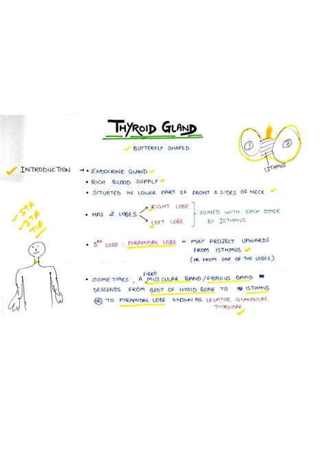 Solution Thyroid Gland Handwritten Notes Studypool