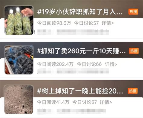 260元一斤！这种虫身价暴涨，广东人：我们还有更香的 知了 蚕蛹 蝉蜕