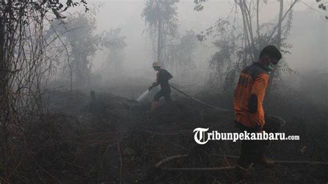 Foto Tni Dan Bpbd Padamkan Kebakaran Lahan Di Jalan Air Hitam