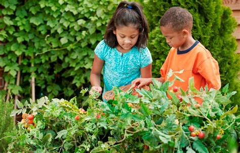 What Is The Importance Of Plants In Kids' Lives?