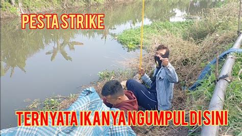 Mancing Di Sarangnya Ikan Wader Youtube