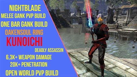 Eso Stamina Nightblade Gank Pvp Build Kunoichi Lost Depths One