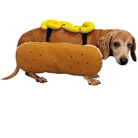 I Tested And Ranked The Best Hot Dog Weiner Costume In 2024: And Here's ...