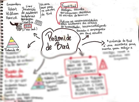 Solution A Pir Mide De Bird Mapa Mental Seguran A Do Trabalho Studypool