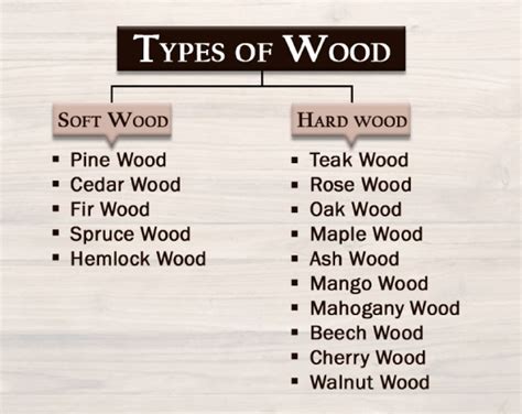 Popular Types Of Wood Used In The Construction Industry