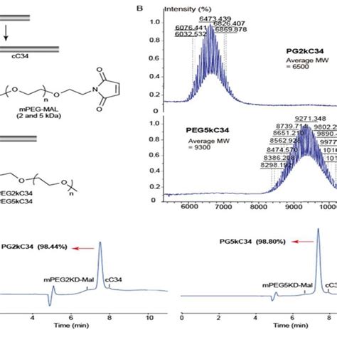 Peptide design, synthesis and identification. Sequence of C34:... | Download Scientific Diagram