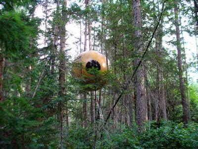 Tree House ~ UNUSUAL THINGs