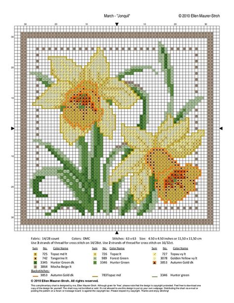 Pin By ZandraZz On Flores En Punto De Cruz 2 Cross Stitch