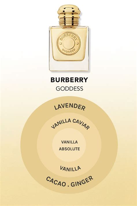 What Does The New Burberry Goddess Smell Like SOKI LONDON In 2024