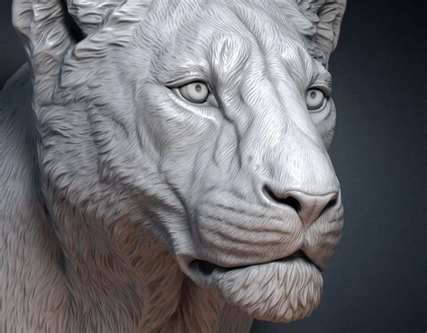 Lioness Sculpture Bust 3d Model Behance