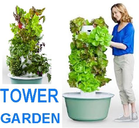 Fun With Tower Garden