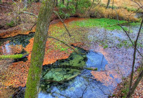 Natural Springs in Southern Wisconsin image - Free stock photo - Public