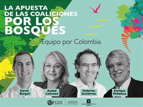 Qu Proponen Las Coaliciones En Materia De Bosques Lea Y Vote