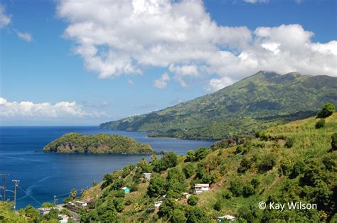 St Vincent Reef And Rainforest