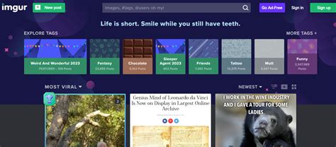 15 Best  Creator Apps Zight