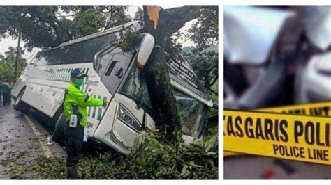 Kecelakaan Hari Ini Di Sumedang Bus Berpenumpang Oleng Tabrak Pohon