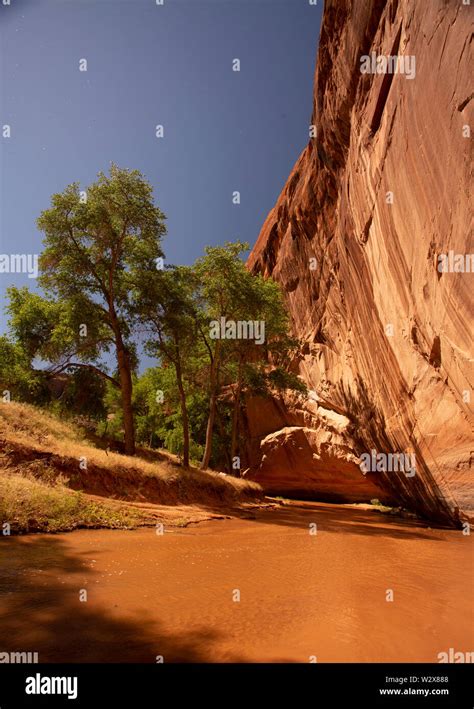 Archaeological Ruins at Canyon de Chelly National Monument, Navajo ...