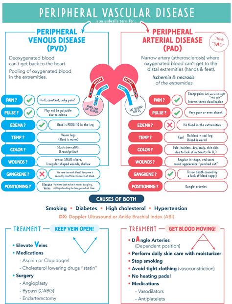 Peripheral Vascular Disease (PVD & PAD) – Causes, Symptoms, Diagnosis