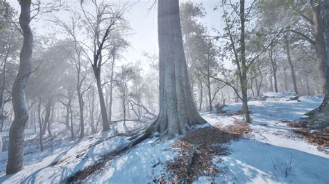 frosty winter landscape in snowy forest 34803542 Stock Video at Vecteezy