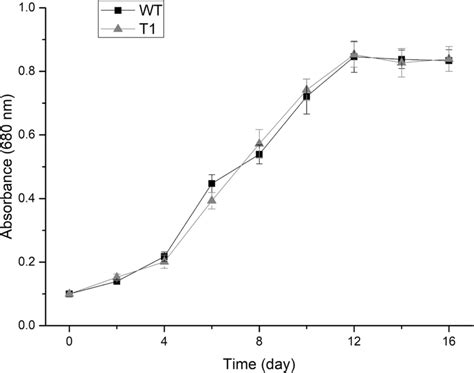 Cell Growth Curve Of T Strain And Wild Type H Pluvialis Significant