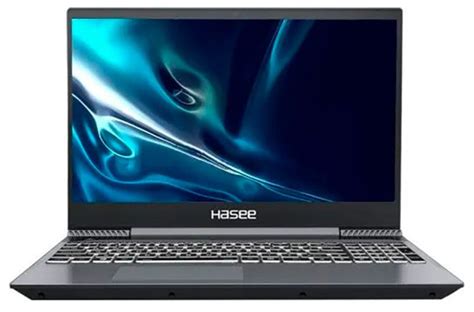 Игровой ноутбук Hasee 156 S7-DA7NP, серый купить по низкой цене: отзывы ...