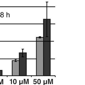 Structure of a Vivo-Morpholino. Shown are two 3′ end bases from a ...