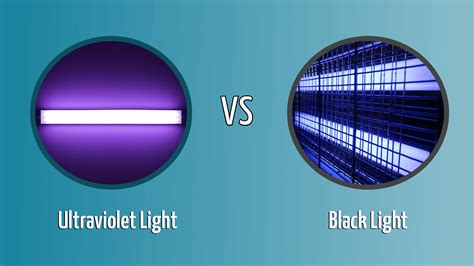 difference  blacklight  uv light  fred grant blog
