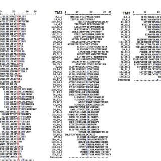 Multiple sequence alignment of transmembrane regions. | Download ... 