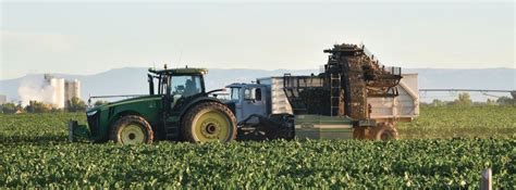 Wyoming Sugar Growers Bounce Back With Strong 2020 Crop Sugar Producer Magazine