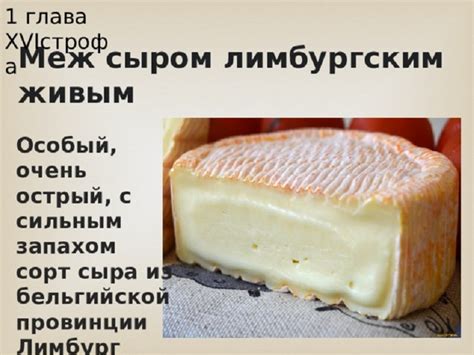 Лимбургский сыр егорлыкской выдержки. «Егорлык Молоко» приступает к ...