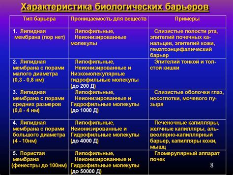 Токсикокинетика - презентация онлайн