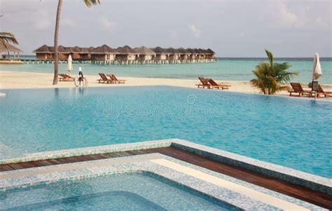 Swimming Pools and Water Villas, Maldives Stock Image - Image of island ...