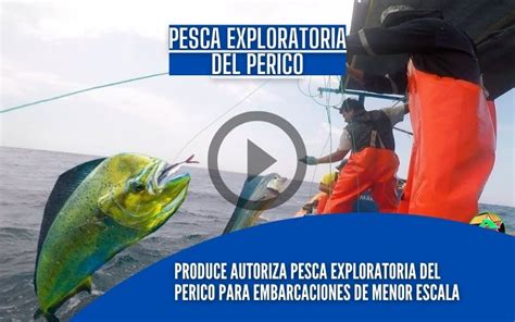 Produce Autoriza Pesca Exploratoria Del Recurso Perico Para