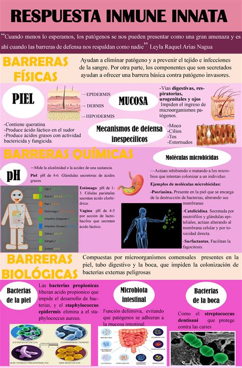 Desnudarse Vendedor Persistente Cuales Son Las Barreras Quimicas Del