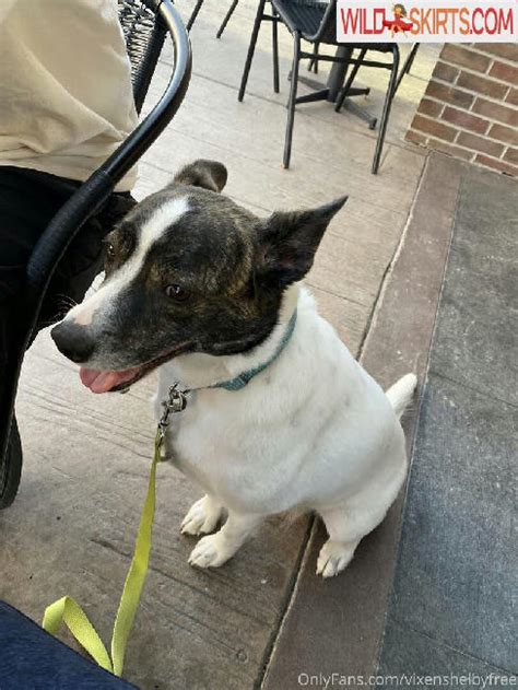 Vixenshelbyfree Nude Leaked Photos And Videos WildSkirts