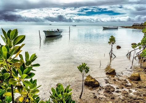 1000+ images about Rodrigues on Pinterest | 40 years old, Africa and ...