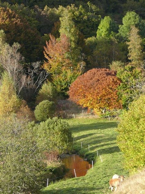 Automne En Lozere