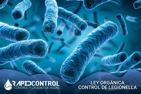 Control Y Prevenci N De Legionella En Madrid Rd