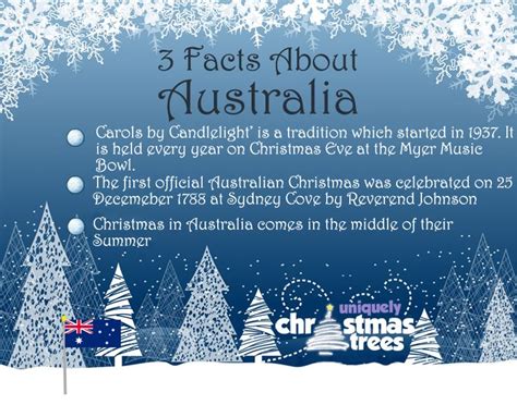 Christmas Facts From Australia Christmas In Australia Christmas Trivia Australian Christmas