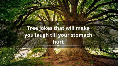 80 Tree Jokes That Will Make You Laugh Till Your Stomach Hurt Yencomgh