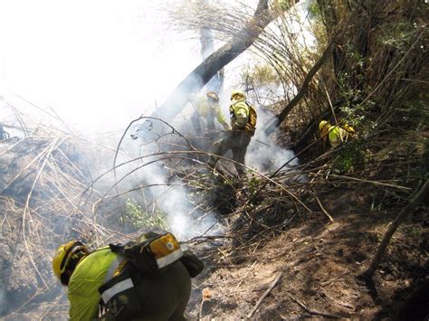 Medio Ambiente adelanta el Plan Thader de prevención contra incendios