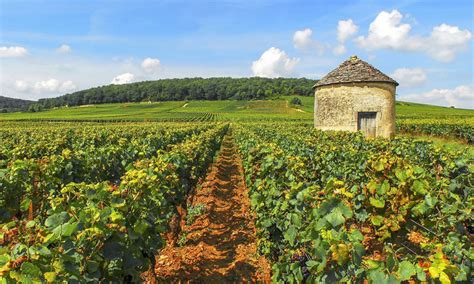 Burgundy Walking Tour Small Group Walking Tour In Burgundy Route Du